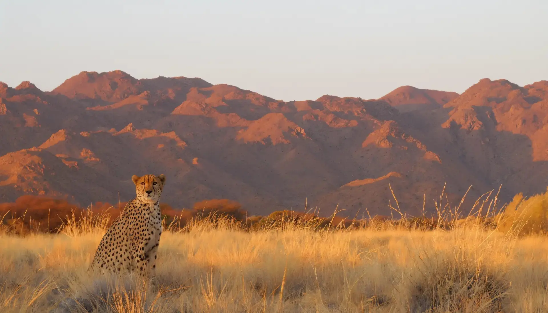 About Us - Services Offered