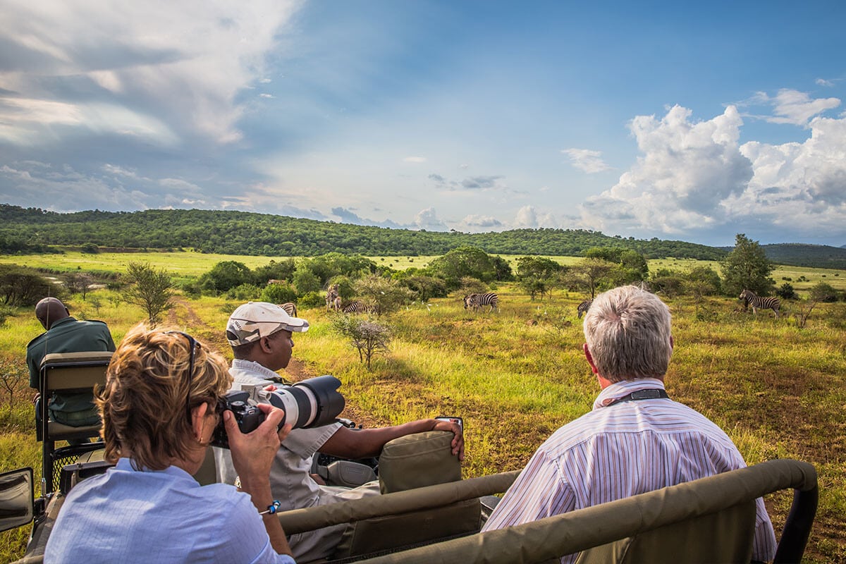 Three people on a luxury Africa safari, viewing a scenic landscape with grazing zebras. One person, equipped with a large camera lens, captures the scene, while the others observe the serene, vibrant grass