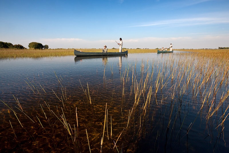 A serene scene of two men on their first safari, in a canoe, one standing and paddling, on a clear, shallow lake with tall grasses. Another canoe is visible in the distance under