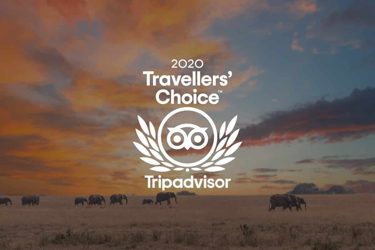 A promotional image featuring the "2020 Trip Advisor Traveller's Choice Award" by TripAdvisor, set against a sunset backdrop with silhouettes of elephants walking in the savannah. The logo features an
