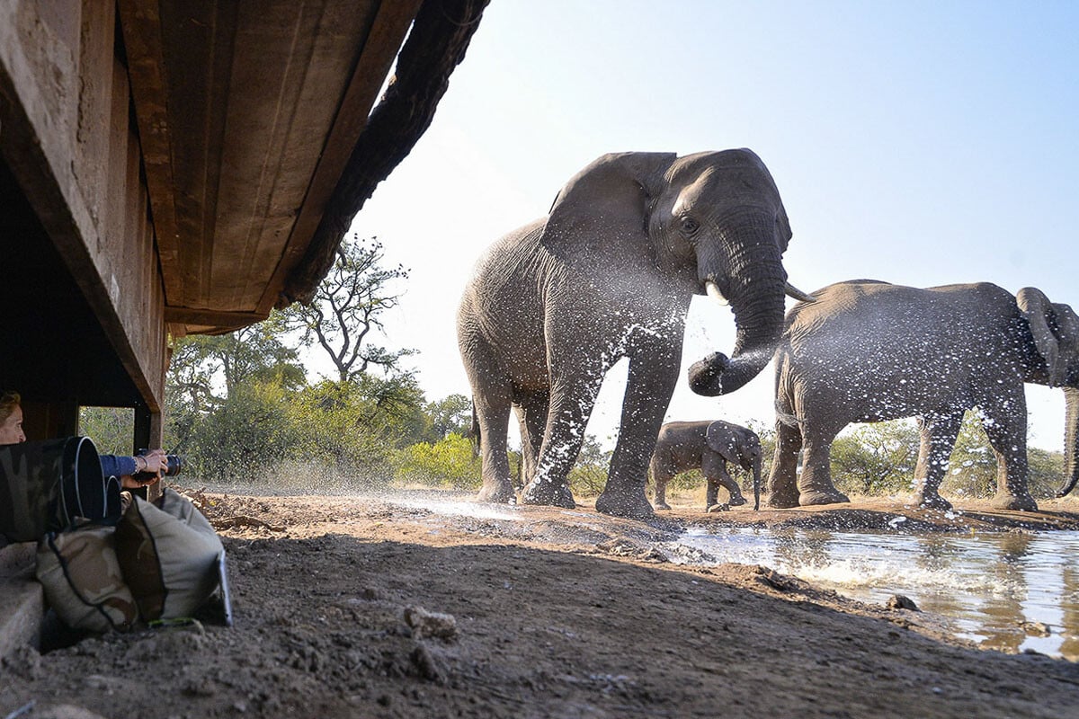 Two photographers crouch in the shelter of a low wooden structure at Mashatu Game Reserve, capturing images of three elephants splashing water at a watering hole, under a clear blue sky.