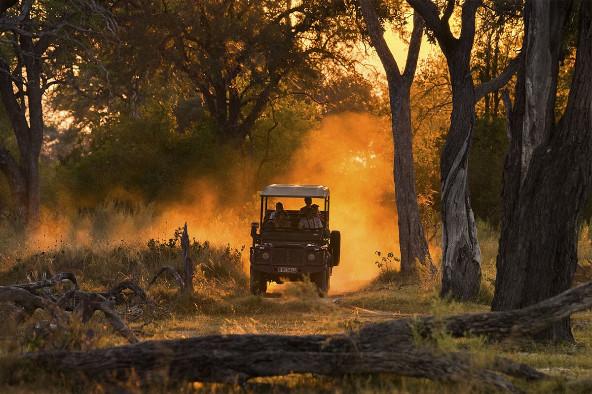 A luxury safari jeep full of tourists drives through a dense, wooded area at sunset. Dust clouds are kicked up by the vehicle under the golden light filtering through the trees.