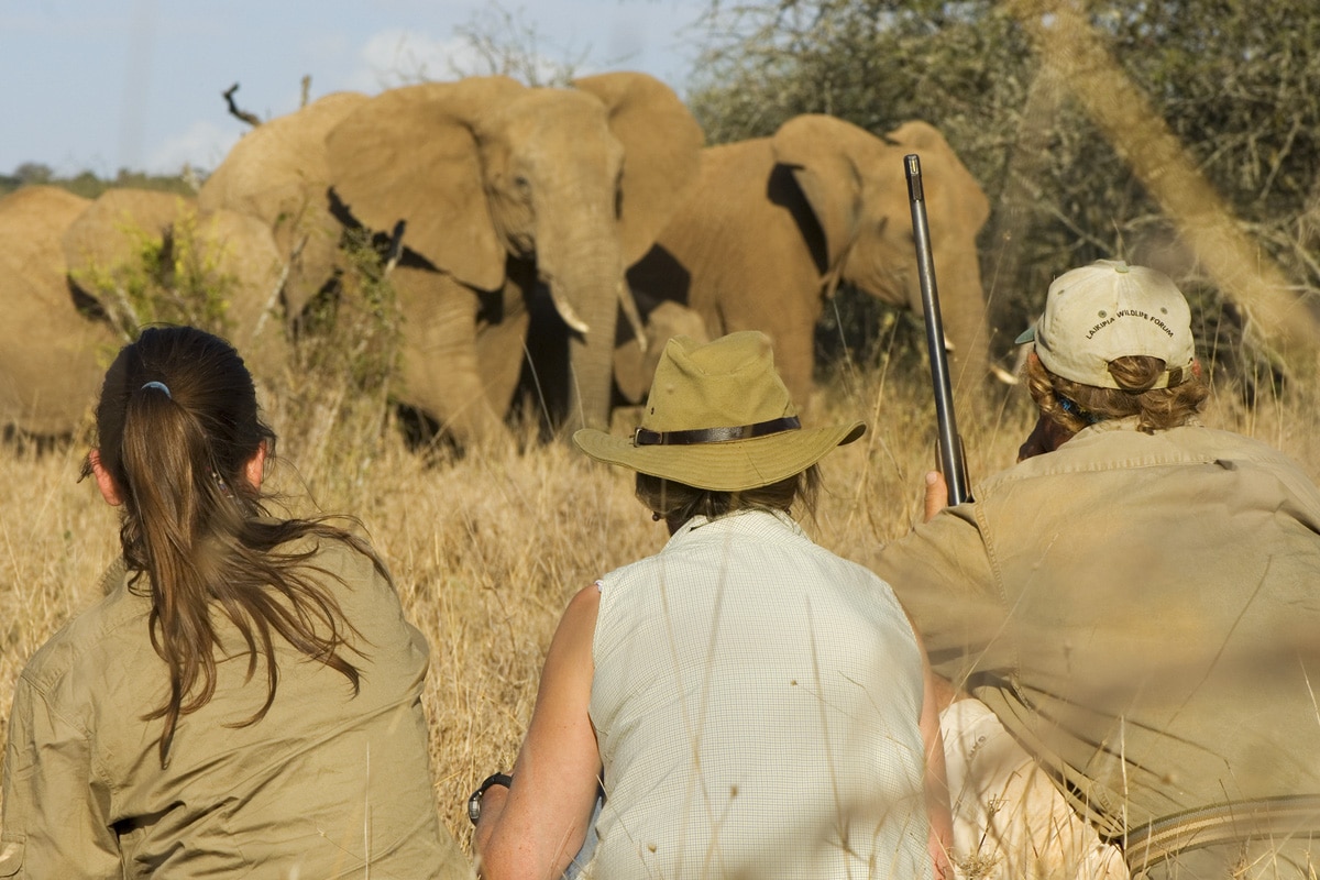 Two safari operators wearing outfits and hats observe a herd of elephants in the distance, sitting in a grassy savannah under a clear blue sky. The person on the right holds a rifle.