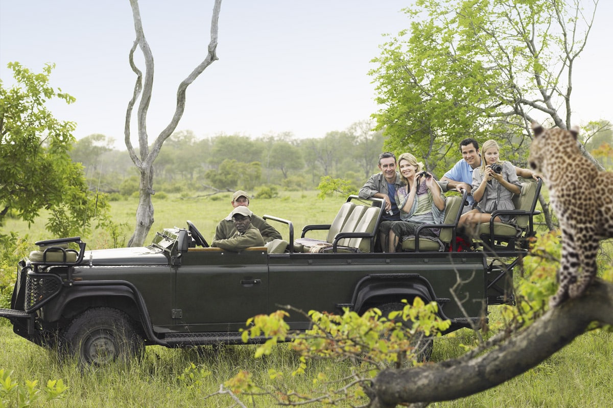 A group of tourists in an open safari vehicle watch a cheetah sitting on a tree branch. The vehicle is parked in a lush, green landscape. The tourists, diverse in gender, are excited