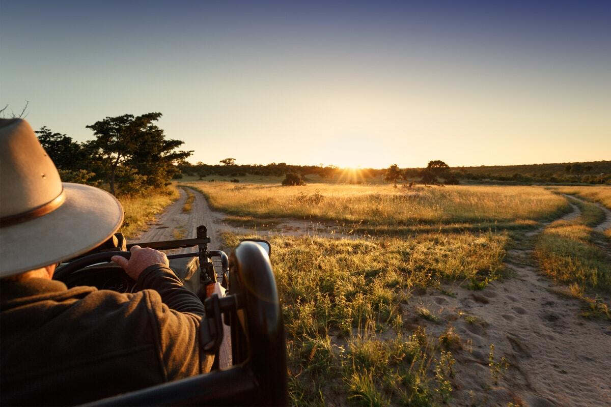 A person wearing a hat drives a jeep on a safari at sunset in Africa. The golden sunlight streams across the rugged landscape of grass and trees. The curving dirt road invites exploration into the serene and