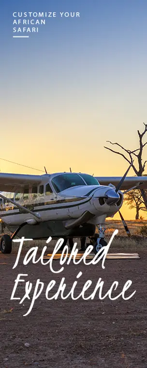A promotional banner for African safaris featuring a small white airplane on a remote runway at dawn or dusk, with the phrase "tailored experience" in large white text and a tree silhouetted