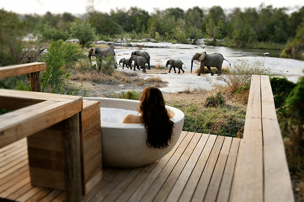 top 10 kruger safari lodges