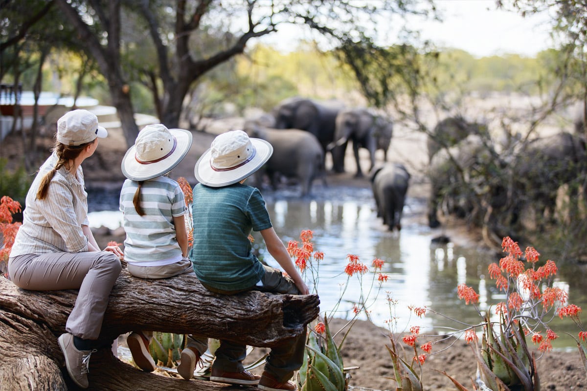 Three people in safari outfits sit on a log, observing a herd of elephants by a waterhole surrounded by trees. Red flowers in the foreground add vibrant color to the tranquil, family-friendly safari setting.