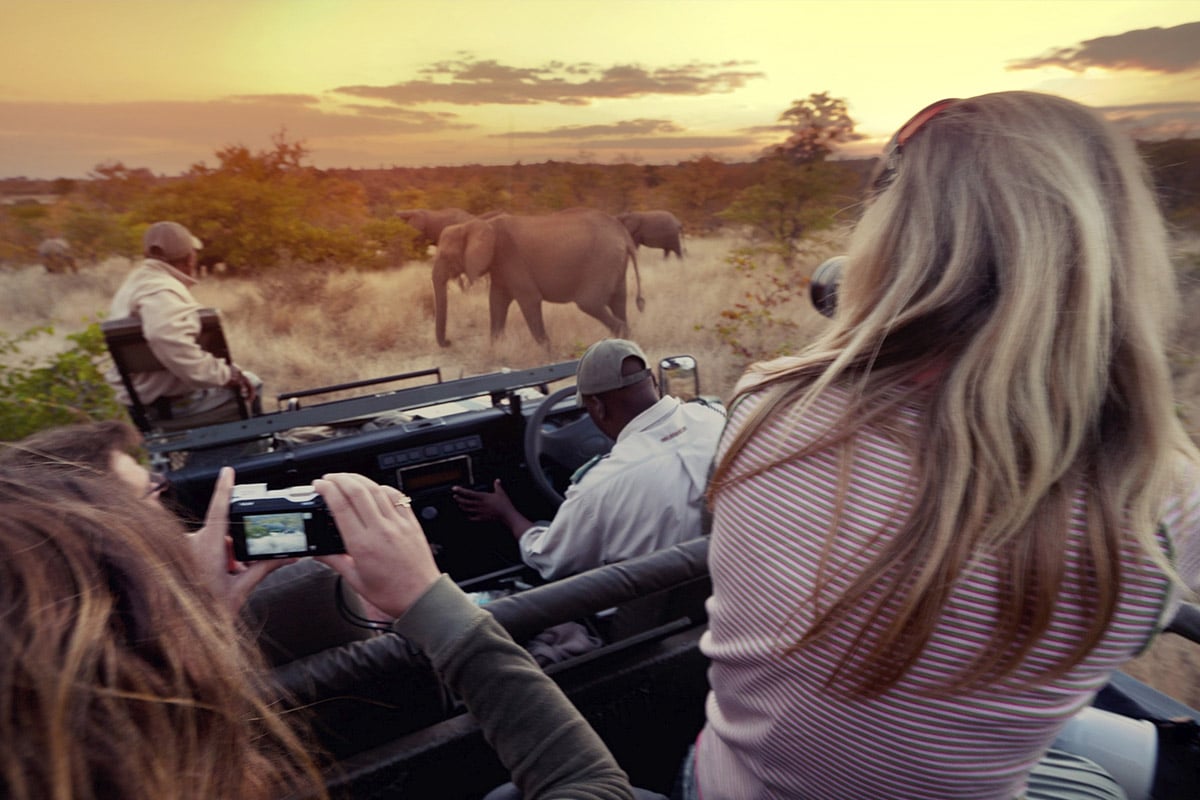 A group of tourists on an African Safari Travel vehicle, observing an elephant in the wild at sunset. One tourist is capturing the moment with a camera. The image conveys a sense of adventure and connection